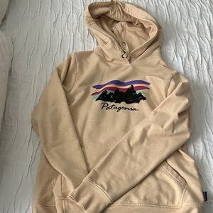Patagonia W's Free Hand Fitz Roy Ahnya Hoody